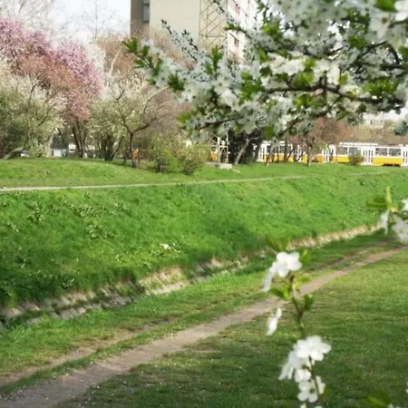 Oasis Of Green Streamside Relaxation * Budapest