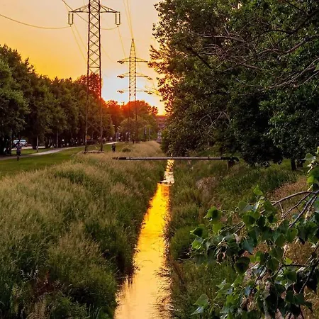 Oasis Of Green Streamside Relaxation